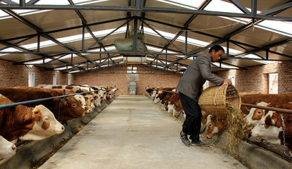 【走進(jìn)“三農(nóng)”】張家川五大產(chǎn)業(yè)齊并進(jìn)（三）畜牧設(shè)備技術(shù)開(kāi)發(fā) 賦能傳統(tǒng)養(yǎng)殖，驅(qū)動(dòng)產(chǎn)業(yè)升級(jí)